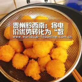 贵州黔西南:将电价优势转化为“数据”优势大数据产业已初具规模:竞猜攻略(图2) 世界杯买球