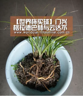 【世界杯买球】门兴格拉德巴赫与云达不莱梅将在前者主场展开(图4) 世界杯投注